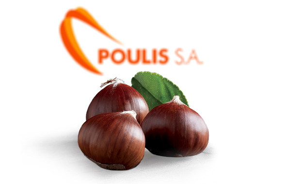 POULIS S.A. | Premium Quality Chestnuts | Available Varieties : All Chestnuts varieties | Sources : N. Larisa, Creta – Greece | POULIS S.A. | FRESH FRUITS AND VEGETABLES | ΠΟΥΛΗΣ Α.Ε.