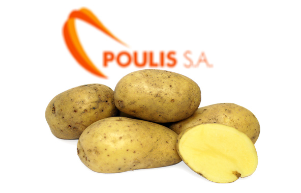 POULIS S.A. | Premium Quality Potatoes | Available Potato Varieties : All Potatoes varieties | Sources :Egypt | POULIS S.A. | FRESH FRUITS AND VEGETABLES | ΠΟΥΛΗΣ Α.Ε.